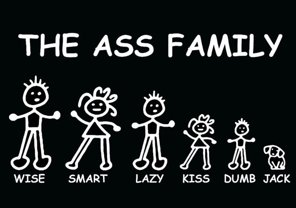The Ass Family 12"x6" Embossed Aluminum License Plate