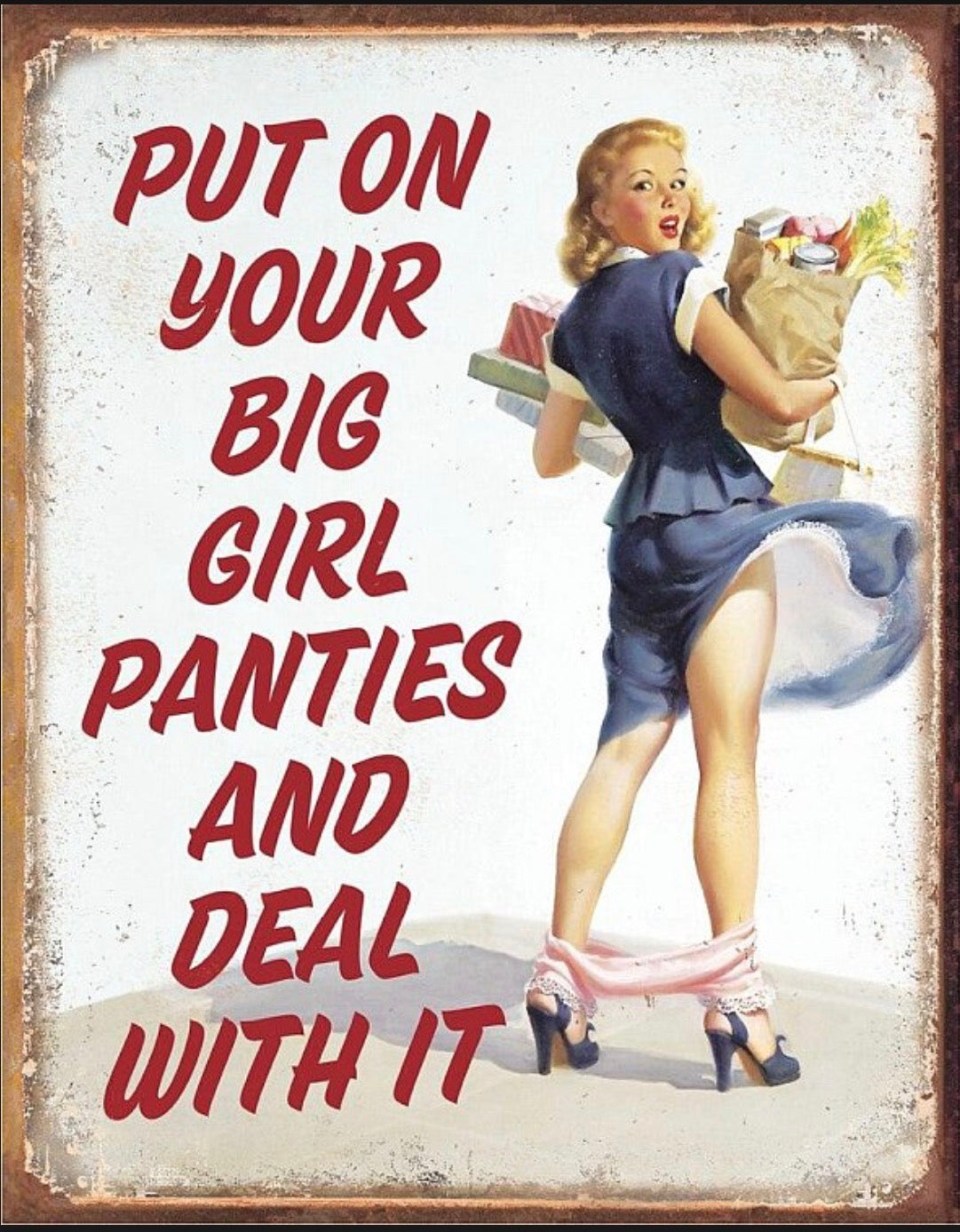 Put On Your Big Girl Panties And Deal With It Aluminum Sign 12.5" x 16"