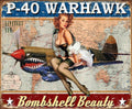 P-40 Warhawk Bombshell Beauty Sign 12.5" x 16"